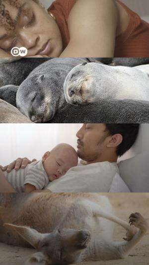 Betapa sehatnya tidur siang