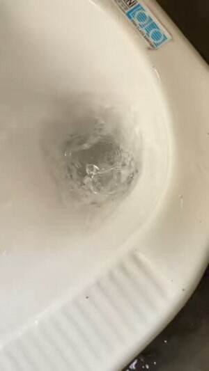 Cari ikan pakai akaran