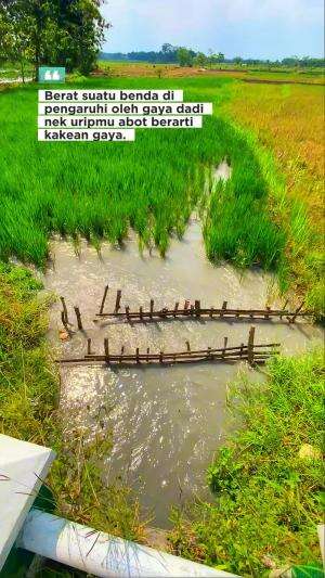 Iyo bener jugak iki .., pancen kakean gaya wkwkw #kuli #kulibangunan #kerja #kerjakerja #kerjakeras #semangat #gigih #sukses #jedamergawe #f