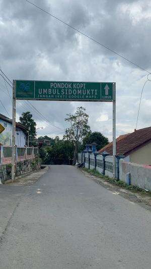 JUAL KAMBING KORBAN IDUL ADHA KAMBING AQIQAH KAMBING SUSU SEMARANG UTARA DAN MENYIDIAKAN KAMBING2 yang anda butuhkaan bang haidar farm