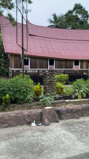 Kampung adat sijunjung #geopark sijunjung