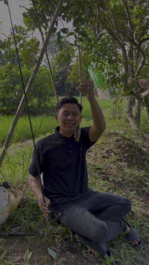 Mancing disumur