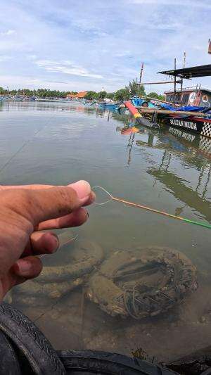 tutorial mancing dari bapak saya #mancing #fishing #shrimp #udang #nelayan #laut #jaring #ikan #reelsviral #animals #skill #fyp #trending
