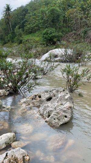 Sungai purba dijogja  #Sungai #jogjaistimewa 