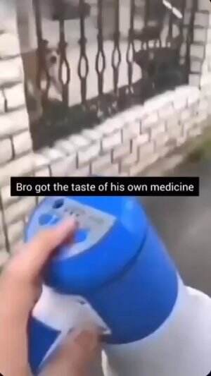 #memes