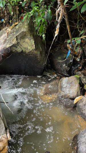 Pancing murah