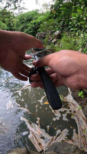 mancing ikan kecil ?