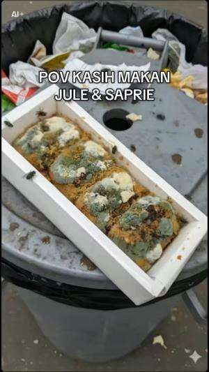 POV kasih makan jule & sapri