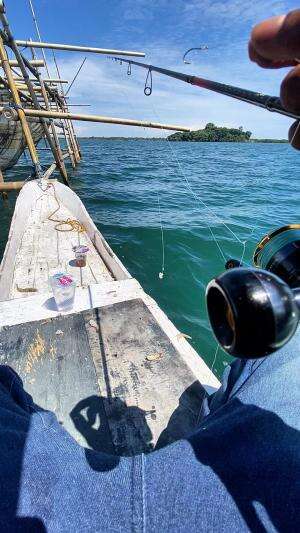 Mancing di bagan menggunakan Umpan udang #mancing #memancing #ikan