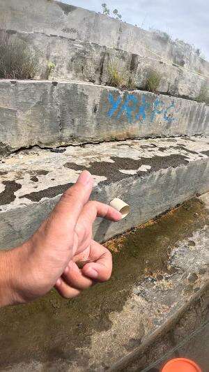 huh hampir kabur #udang #nelayan #laut #jaring #ikan #fbpro #reels #reelsviral #duniaikan #skils #fyp #trending