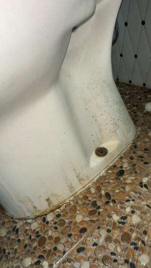 bersiin WC super kotor check