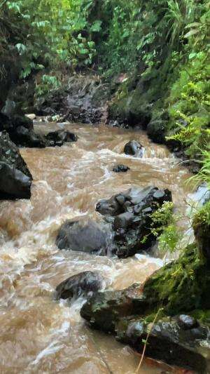 Mancing lagi