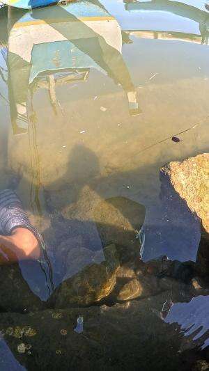 beneran dapet udang #mancing #fishing #shrimp #udang #nelayan #laut #jaring #ikan #reelsviral #animals #skill #fyp #trending