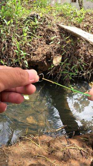segampang itu nangkap udang #mancing #fishing #shrimp #udang #nelayan #laut #jaring #ikan #reelsviral #animals #skill #fyp #trending