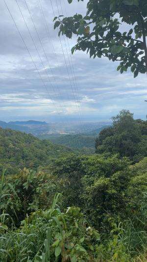 Sitinjau lauik #sitinjau