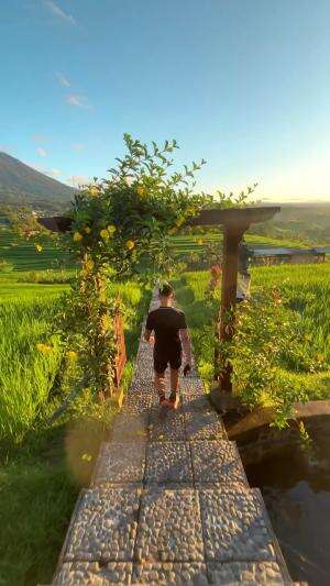 Jatiluwih, Tabanan, Bali