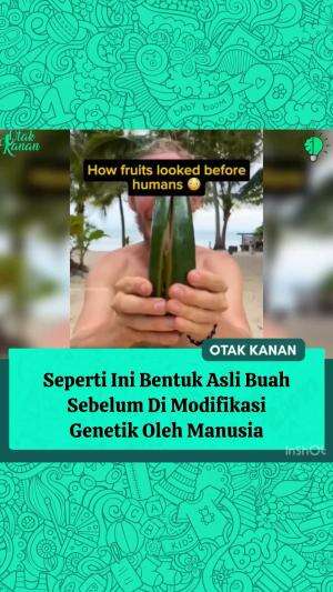 Selama ribuan tahun, manusia telah melakukan seleksi dan modifikasi genetik agar buah-buah ini lebih besar, lebih manis, dan lebih tahan.