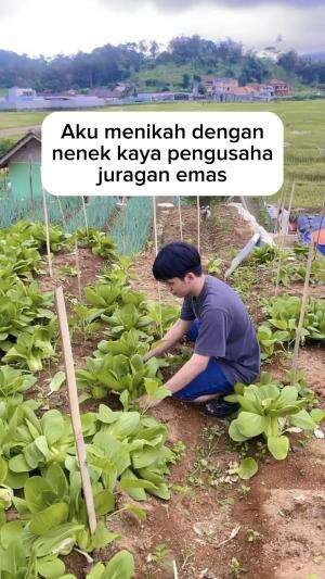 menikah dengan juragan tanah #viral 