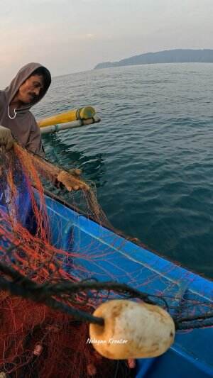 menjaring udang #udang #nelayan #laut #jaring #ikan #fbpro #reels #reelsviral #duniaikan #skils #fyp #trending