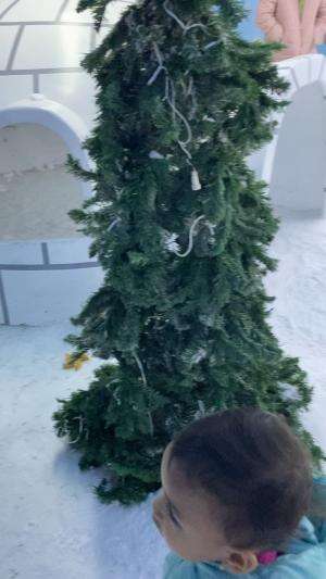 Senengmu ya senengku