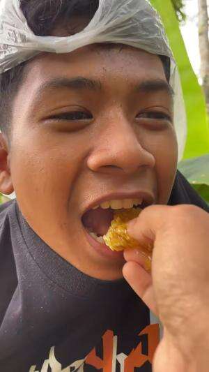 Makan madu langsung dari sarangnya
