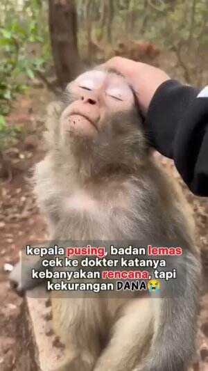 🤣🤣🤣🤣