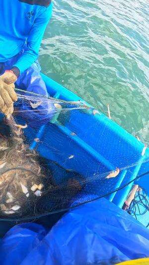 alhamdulillah rezeki nomplok dapet segerombolan udang