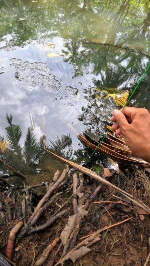 catch claw shrimp #fishing #shrimp #traditional #usa #usareels #UnitedStates #unitedkingdom #denmark #canada