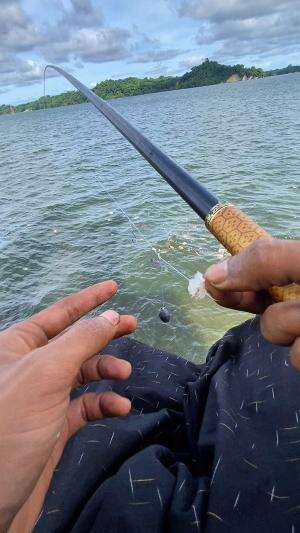 Mancing santai dipinggiran menggunakan umpan udang potong #shorts #mancing #fishing #fyp