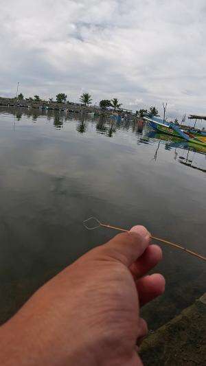 dapet udang hitam #mancing #fishing #shrimp #udang #nelayan #laut #jaring #ikan #reelsviral #animals #skill #fyp #trending