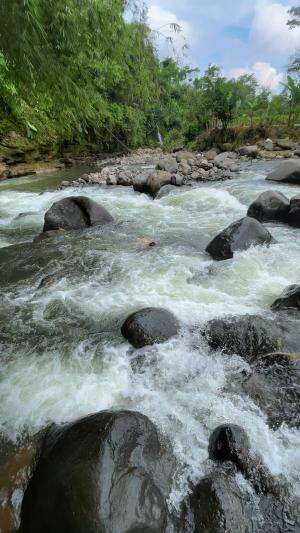 Mancing liar dan masak disungai