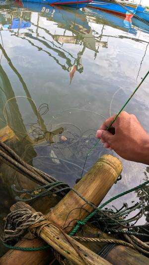 catch small shrimp #fishing #shrimp #fish #sea #traditional #usareels #UnitedStates #reelsviral #skils #fyp #trending