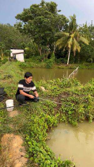 Ikan nilanya besar banget