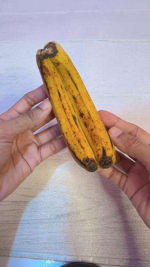 kalian berani gak makan pisang dempet? 