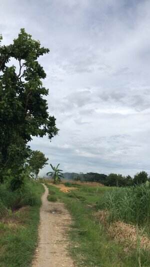 Sejuk
