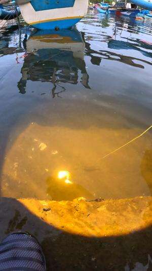 waduh ucul #mancing #fishing #shrimp #udang #nelayan #laut #jaring #ikan #reelsviral #animals #skill #fyp #trending