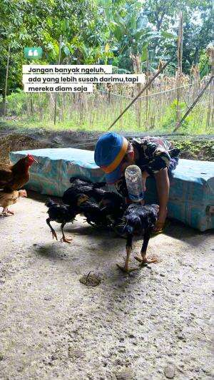 Jangan pernah mengeluh, .., #quotes  #motivasi #semangat #gigih #sukses #kerjakeras #jedamergawe #fyp  #RCTIPlus  #HOTrctiplus  #RCTIoke  #r