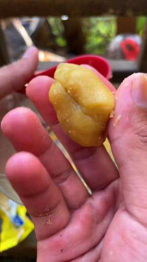  Umpan mancing rahasia auto panen ikan #SEBARKANPESANKEBAIKAN 