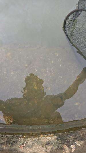 Menangkap udang #udang #nelayan #laut #jaring #ikan #fbpro #reels #reelsviral #duniaikan #skils #fyp #trending