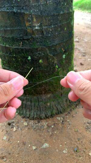 menangkap udang #udang #nelayan #laut #jaring #ikan #fbpro #reels #reelsviral #duniaikan #skils #fyp #trending