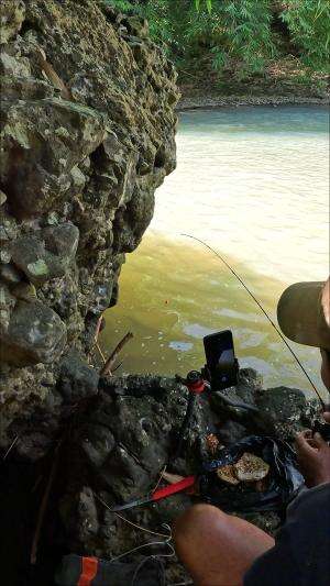 real shrimp fishing #fishing #shrimp #fish #sea #traditional #usareels #UnitedStates #reelsviral #skils #fyp #trending