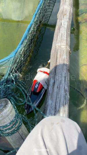 Dapat ikan juga disini.