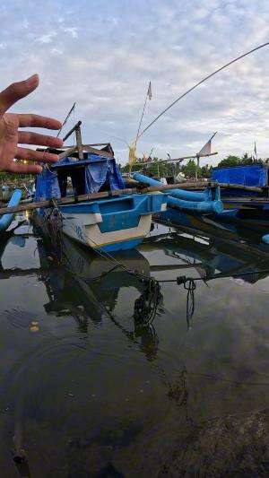 this is how traditional shrimp catching goes #fishing #shrimp #fish #sea #traditional #usareels #UnitedStates #reelsviral #skils #fyp #trend
