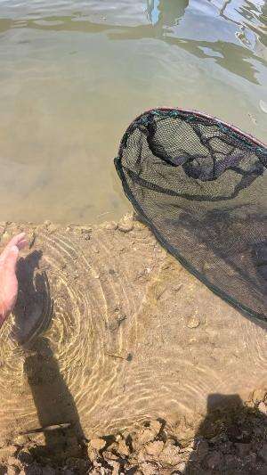 berhasil ditangkap #udang #nelayan #laut #jaring #ikan #fbpro #reels #reelsviral #duniaikan #skils #fyp #trending