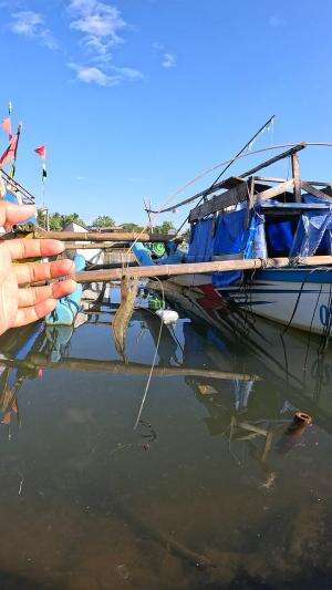 memancing mata udang ?