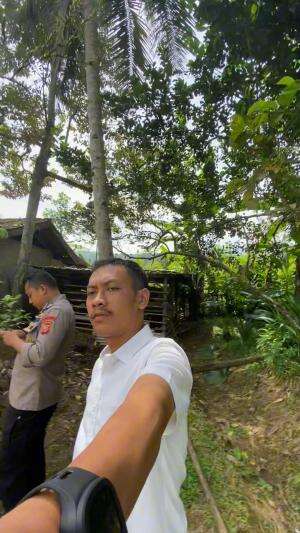 Ulin dibalong batur
