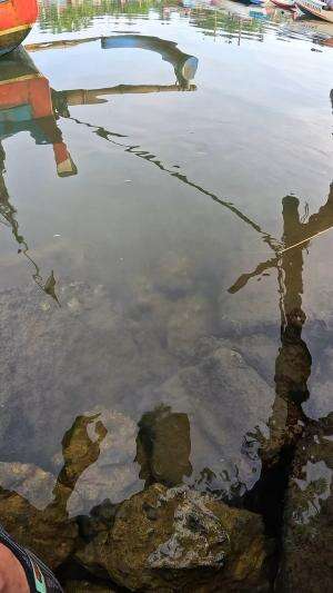 mancing udang anti boncos #mancing #fishing #shrimp #udang #nelayan #laut #jaring #ikan #reelsviral #animals #skill #fyp #trending