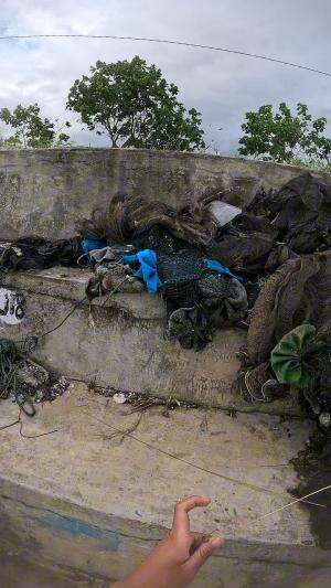 mancing udang🦐 #udang #nelayan #laut #jaring #ikan #fbpro #reels #reelsviral #duniaikan #skils #fyp #trending