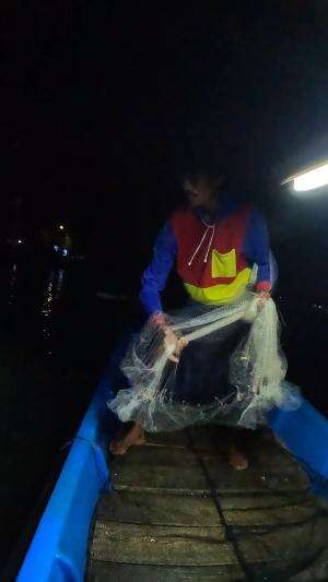 lemparan bagus?? #mancing #fishing #shrimp #udang #nelayan #laut #jaring #ikan #reelsviral #animals #skill #fyp #trending