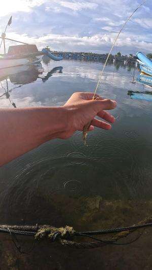 ilmu mahal dari nenek moyang #udang #nelayan #laut #jaring #ikan #fbpro #reels #reelsviral #duniaikan #skils #fyp #trending